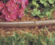 Drip Irrigation